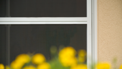 Tritscheler Drehtür 2